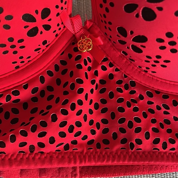 Red Bra - Picture 2 of 7